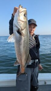 シーバス釣り桜丸