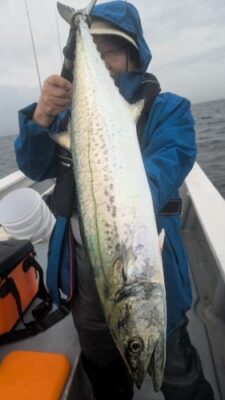 千葉 サワラ釣りさくらまる